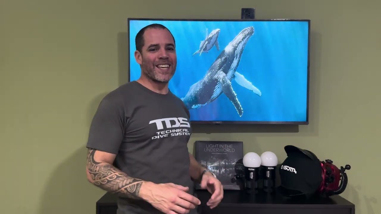 Underwater Photographer of the Year 2025