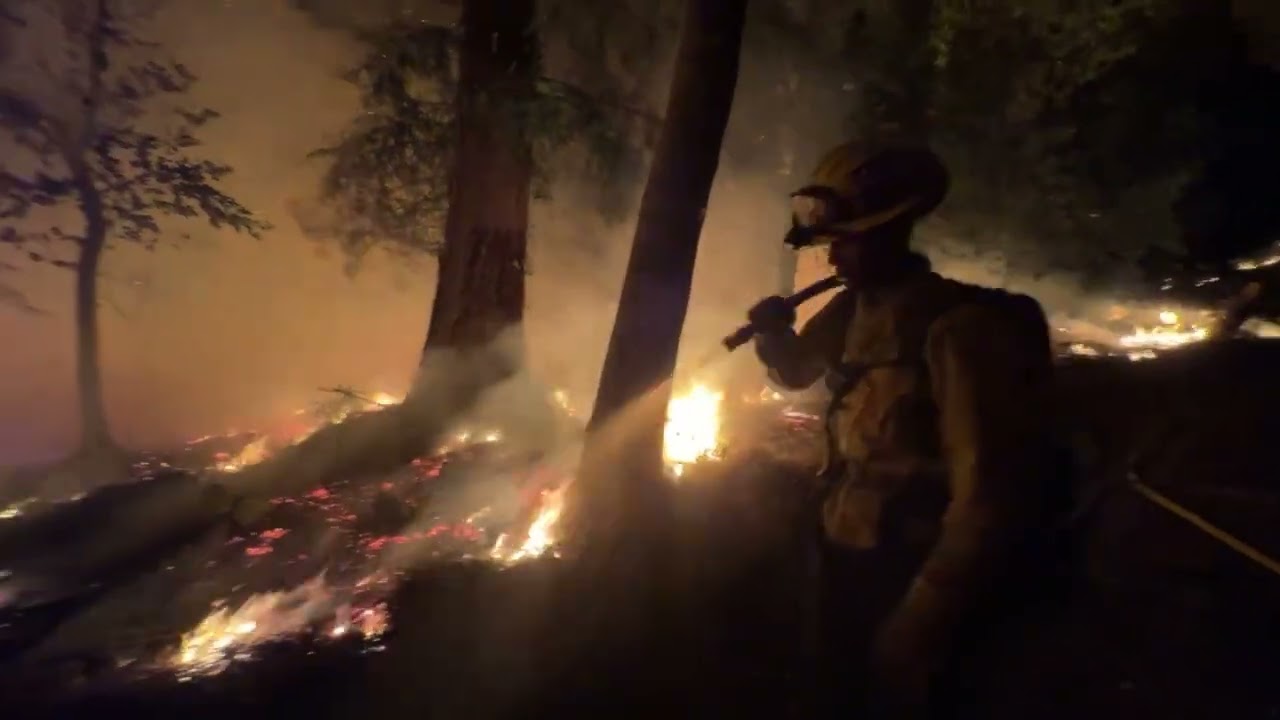 Timber/Plaskett Fire: Firing Operations