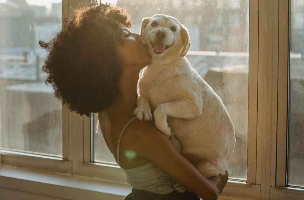 Dogs detect Owner stress