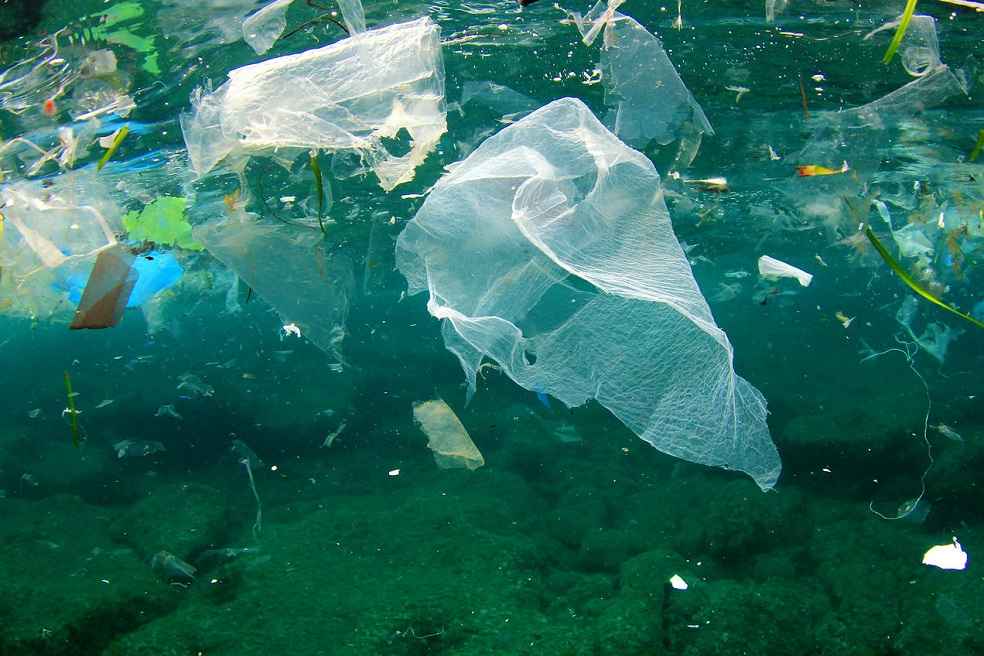 Plastic Pollution Report