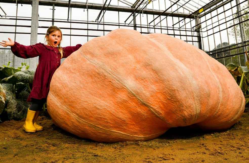 Biggest pumpkin in the world