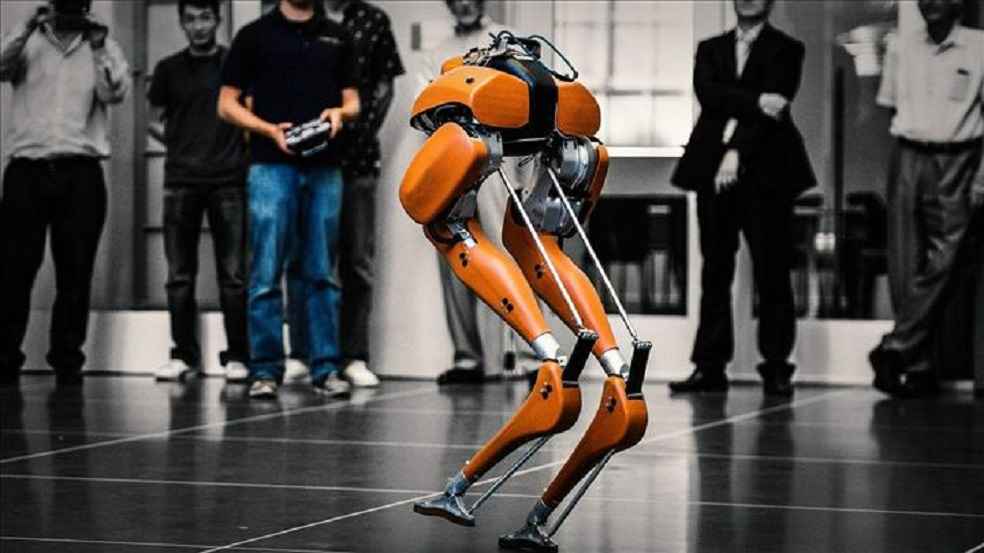 Bipedal Robots 100 Meter Sprint