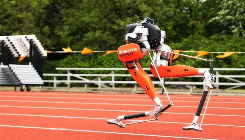 ipedal Robots 100 Meter Sprint