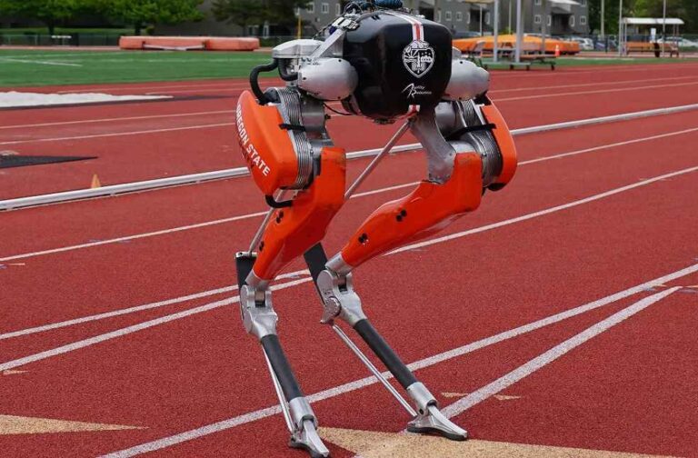 ipedal Robots 100 Meter Sprint