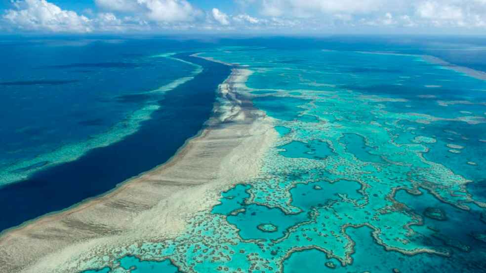 Pollution in Great Barrier Reef Study
