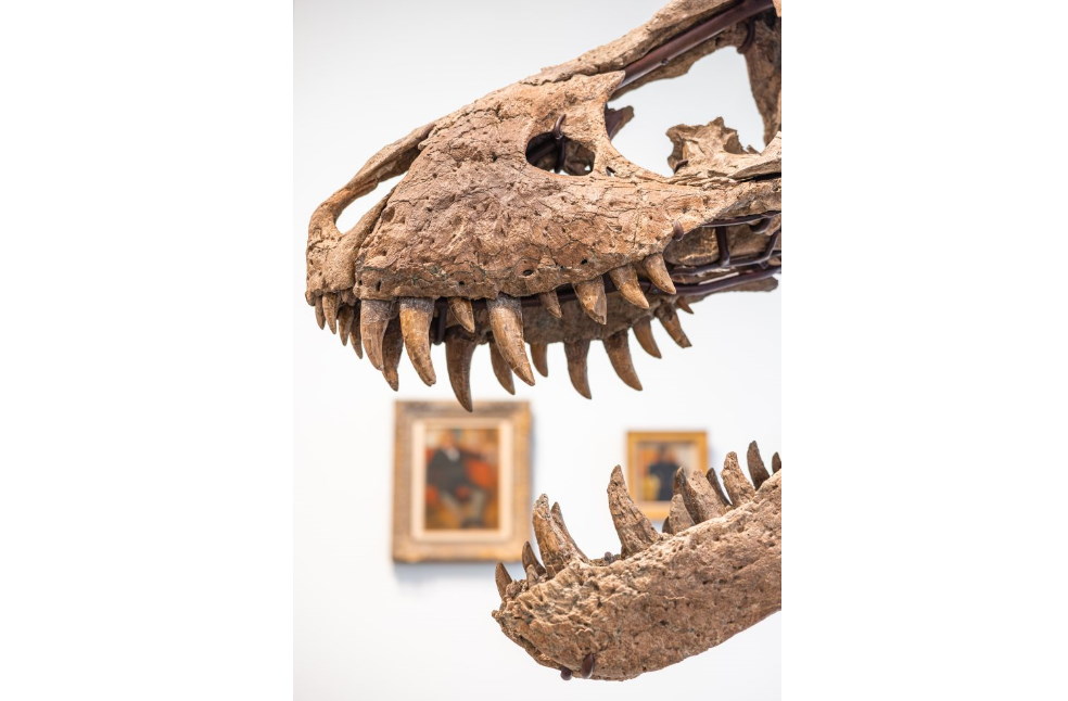 Britain Herald_ Rex Skull