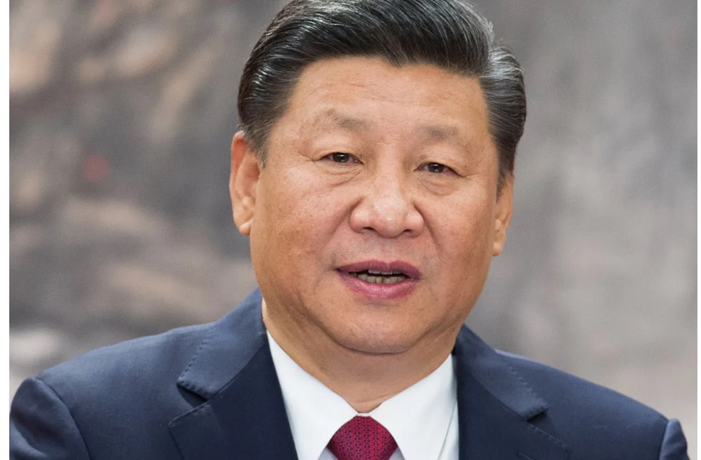 China and Belarus on Ukraine war _ Xi Jinping