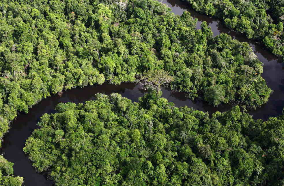 Brazil's Action Plan on Deforestation