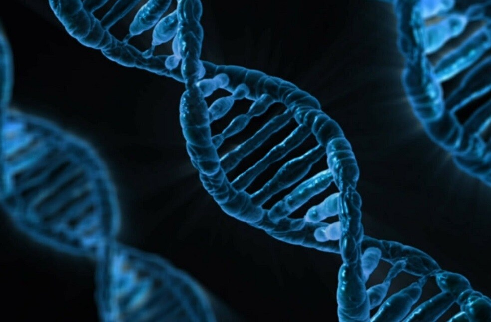 Experts Warn on Genetic Therapy