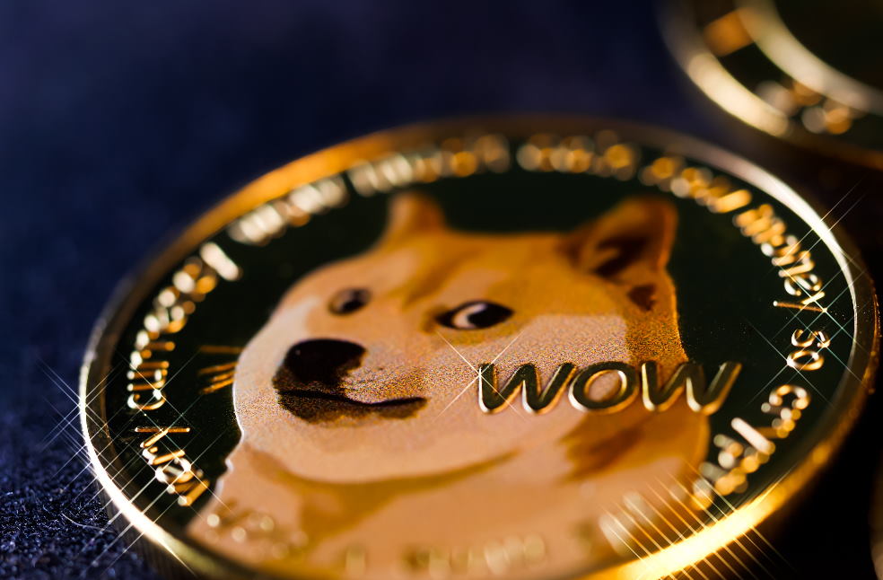 Britain Herald_Dogecoin Value with Twitter