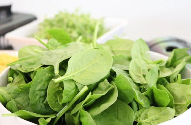 Toxic Spinach Causes Health Emergency