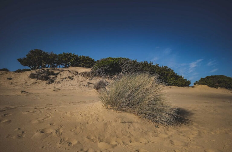 UN Report on El Niño