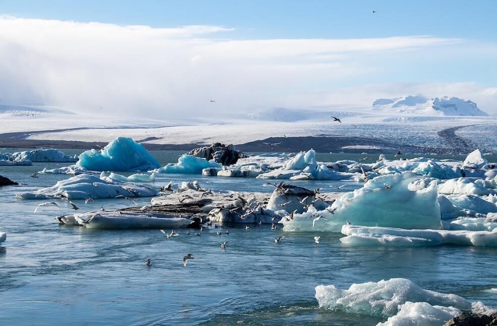Report on Antarctica's Lost Ice Shelves