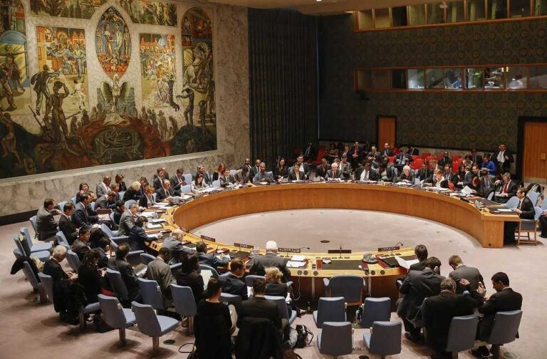 United Nations Security Council