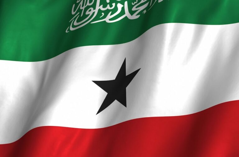 Somaliland Flag