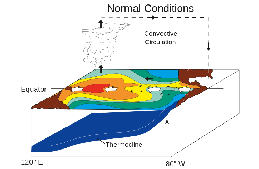 El Niño