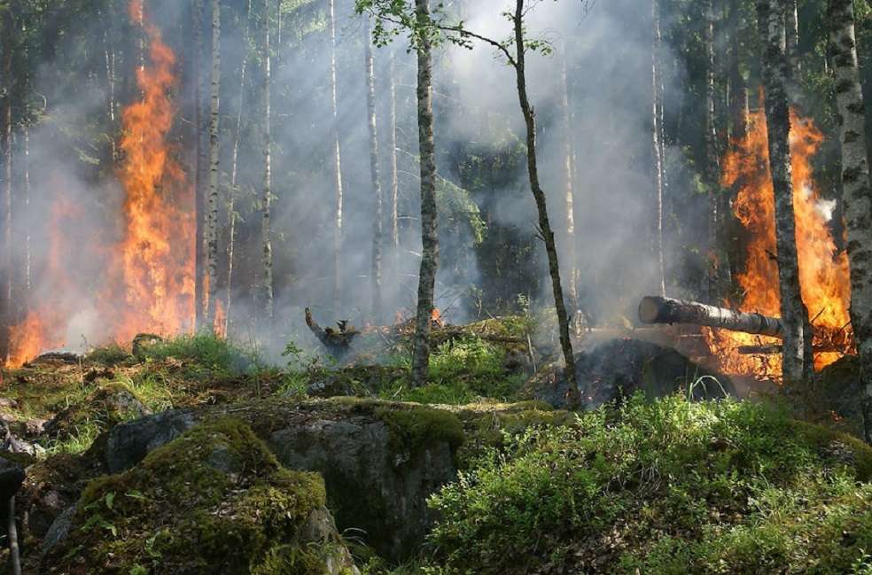 Wildfire in Canary Islands