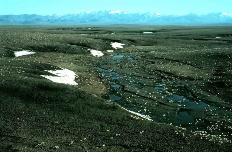 US on Arctic Wildlife Refuge