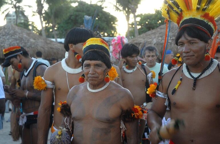 Brazil Supreme Court upholds Indigenous land rights