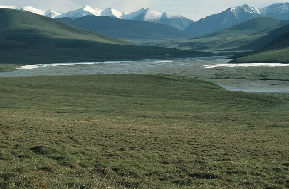 US on Arctic Wildlife Refuge