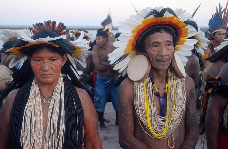 Brazil on Non-Indigenous People in Amazon