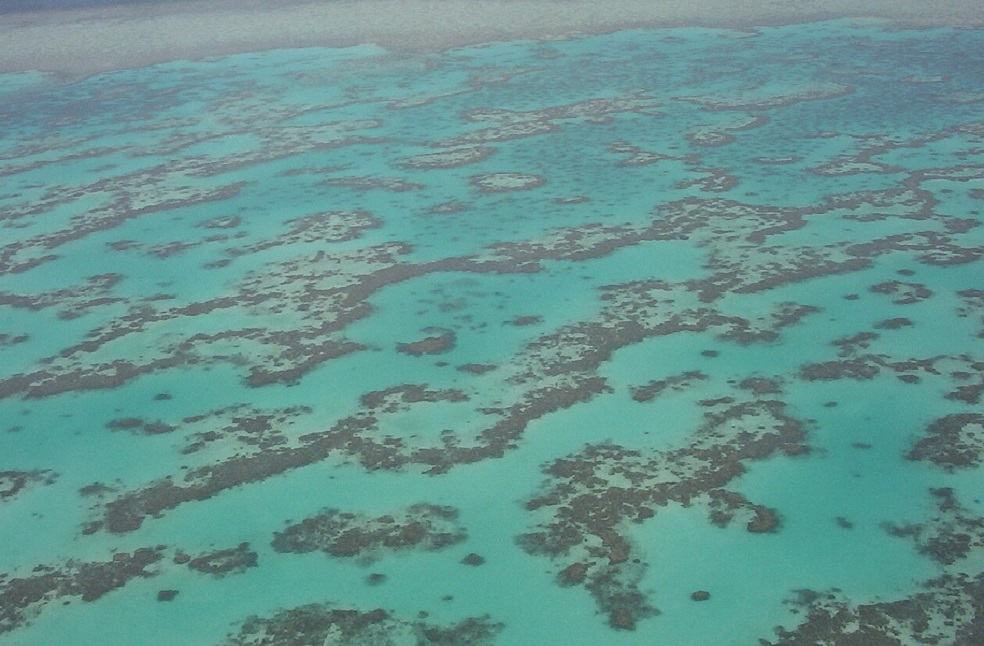 Pollution in Great Barrier Reef Study