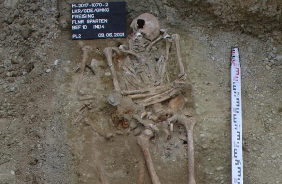 Freising Skeleton Remains _ Image