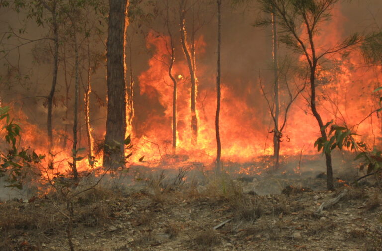 Australia Wildfire