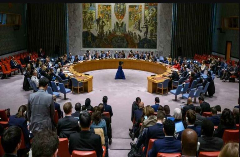 UN Security Council