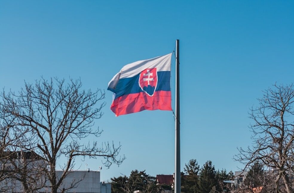 Slovakian Flag