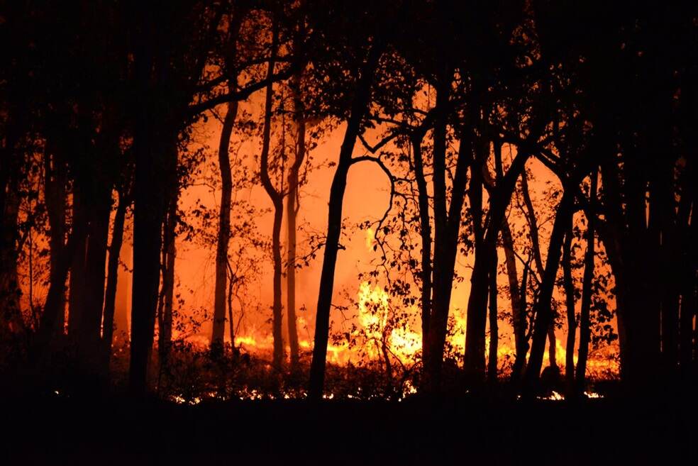 California Wildfire