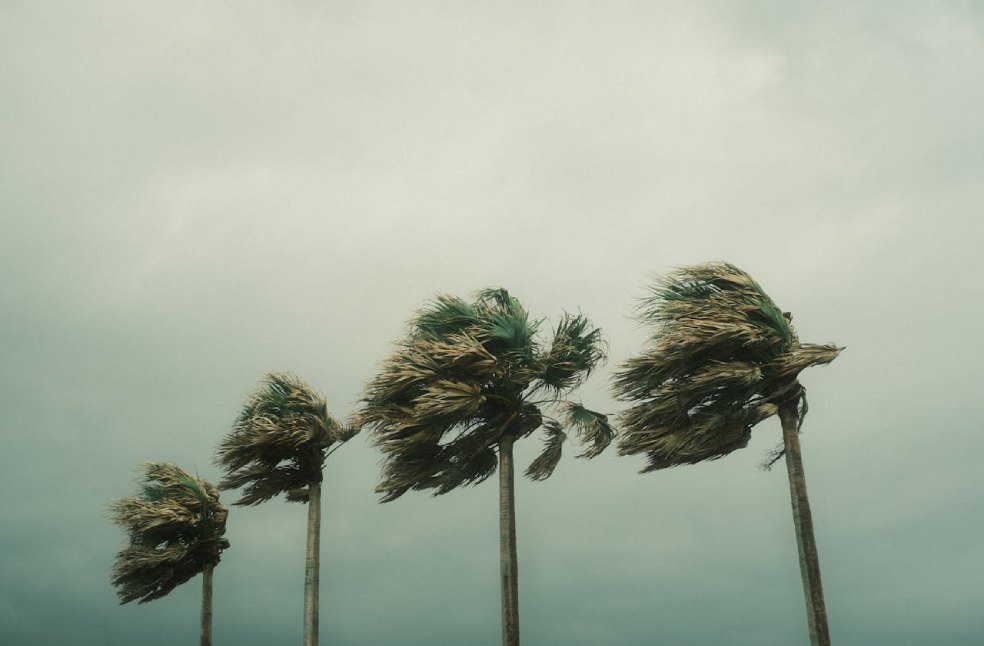 Japan Typhoon 10