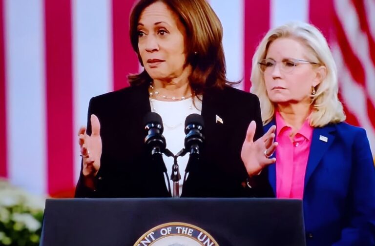 Liz Cheney supports Kamala Harris