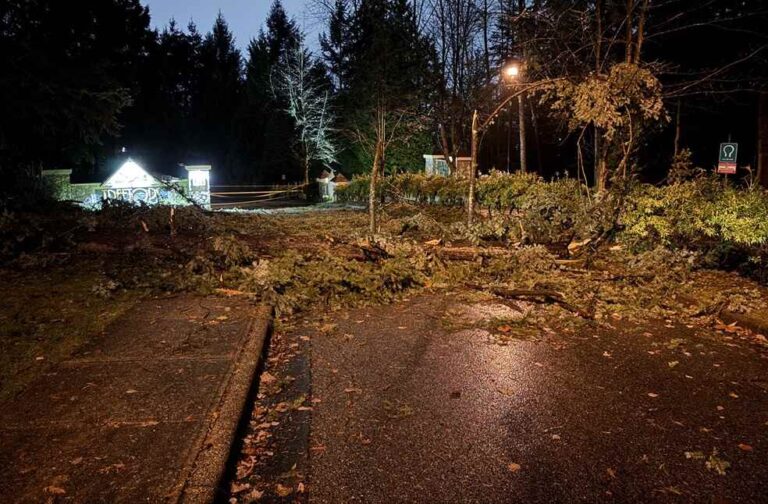 Bomb Cyclone impacts