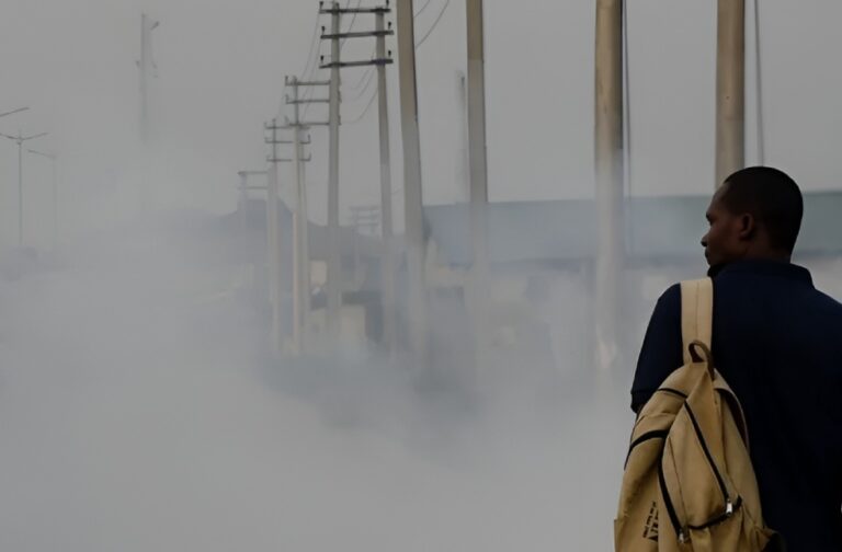 How Delhi’s polluted air is reshaping lives