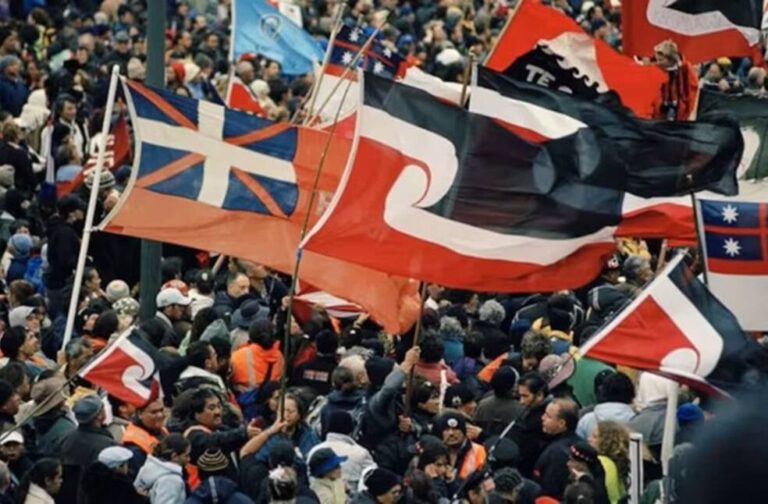 an-estimated-10-000-people-at-parliament-after-the-hikoi