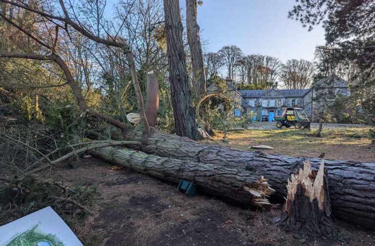 Herminia set to hit UK with Heavy Rain_Image Via_FB_Mount Stewart - National Trust