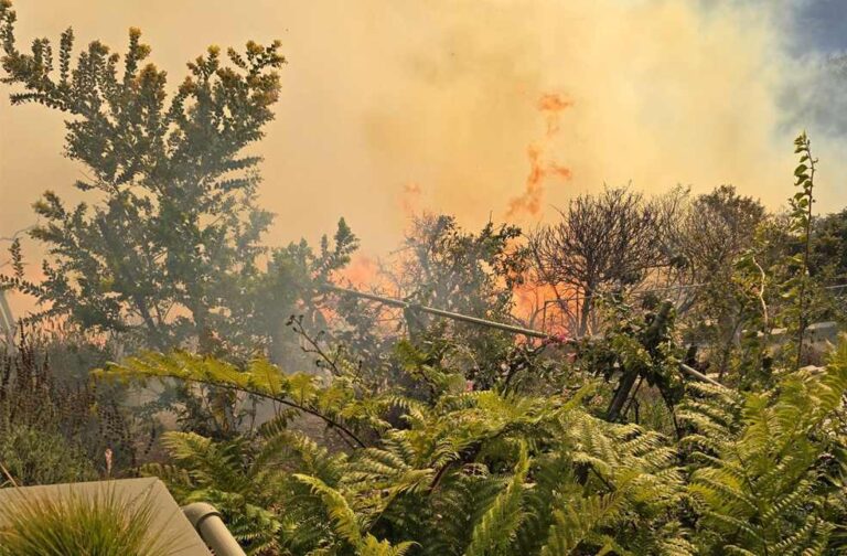 State of emergency declared as wildfire sweeps through Southern California_Image Via_X_James Woods