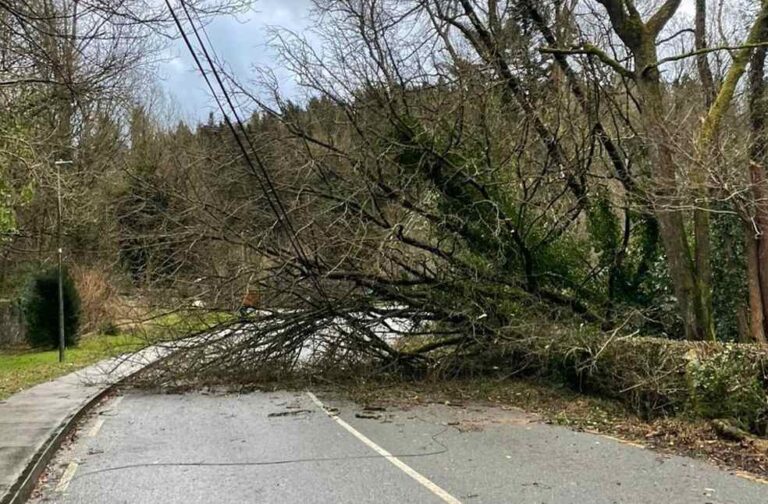 Storm Éowyn wreaks havoc across UK and Ireland_Image Via_FB_Monaghan County Council