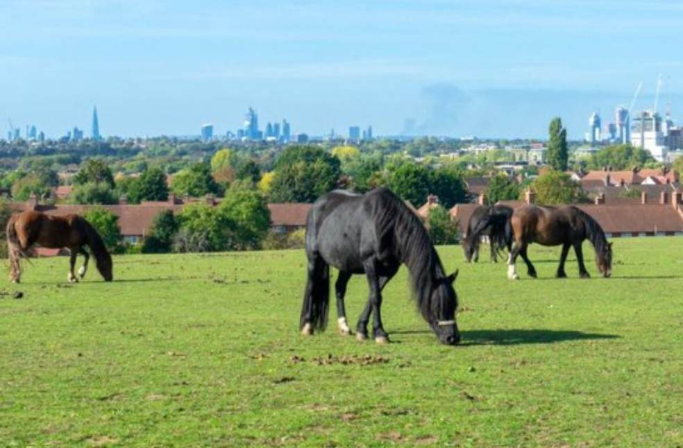 London Mayor Sadiq Khan backs green belt development