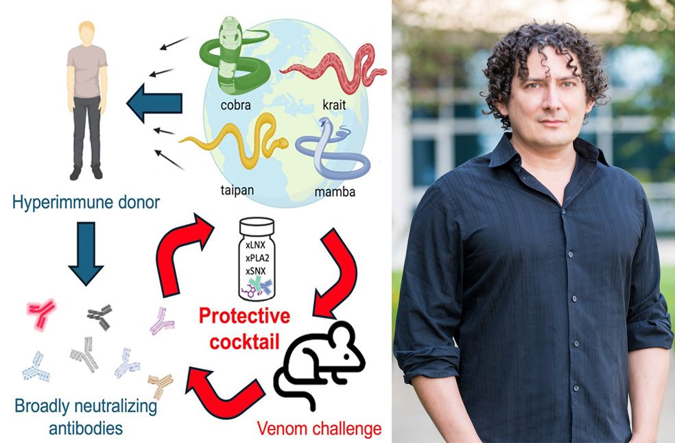 Snakebite survivor’s blood sparks universal antivenom discovery_Image Via_LinkedIn & FB