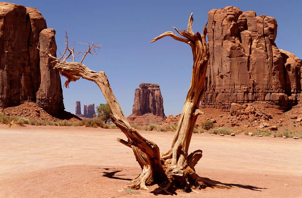 Europe scorched by record heatwave