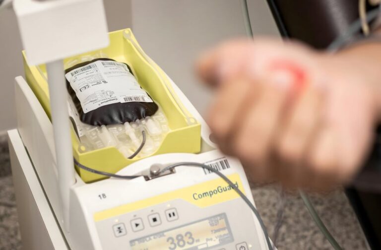 blood and plasma donations from gay and bi men
