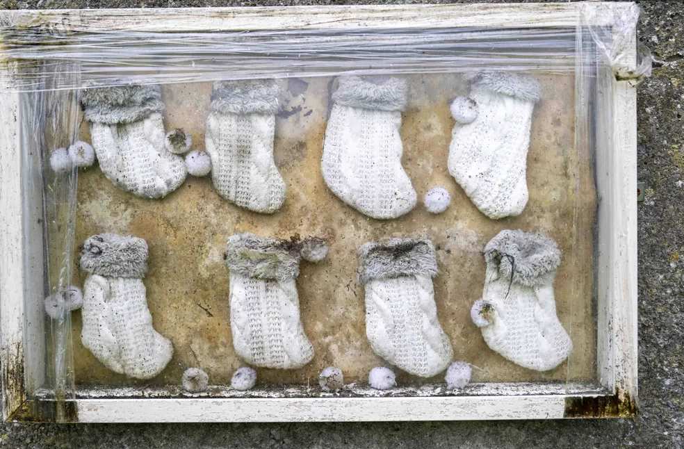 Tuam mother and baby home dig