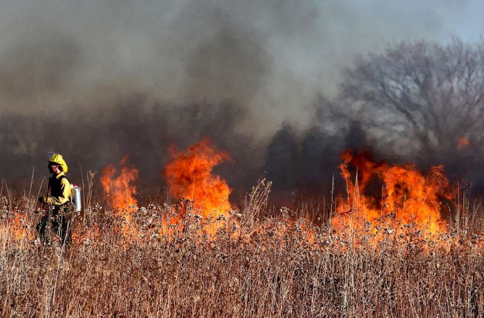 Canada Wildfire Rescue