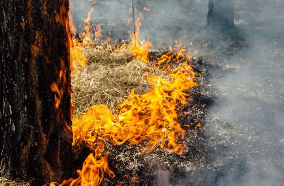 Extreme weather hits asia