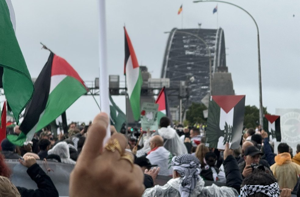 Thousands march in Sydney demanding Gaza aid, peace_Image Via_X_Shoebridge