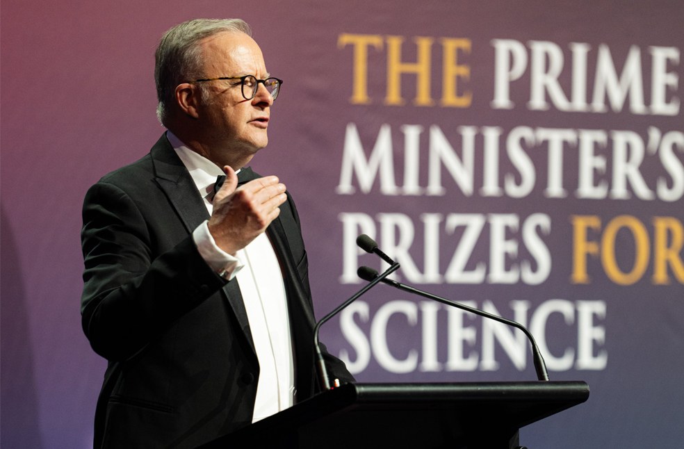 Instagram Australia-Image Via-X-Albanese