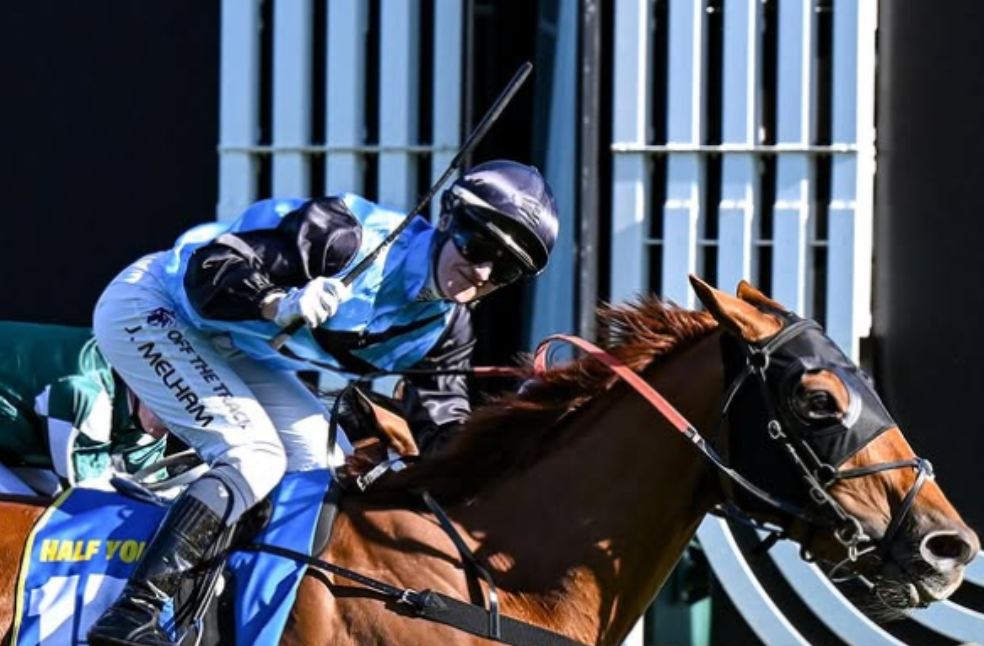 Melbourne Cup History