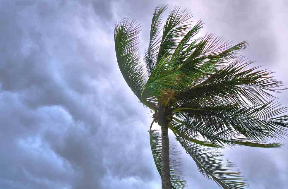 Hayley puts Derby on high alert with destructive winds forecast